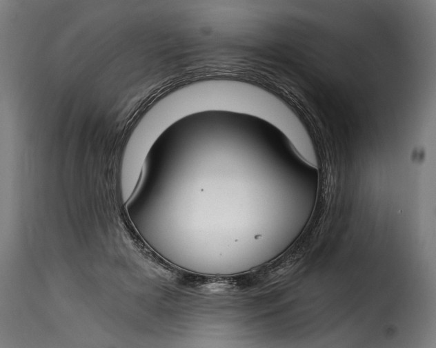 X0000115240505200911201623