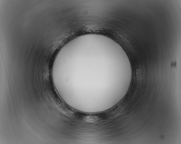 X0000115240508200911201623
