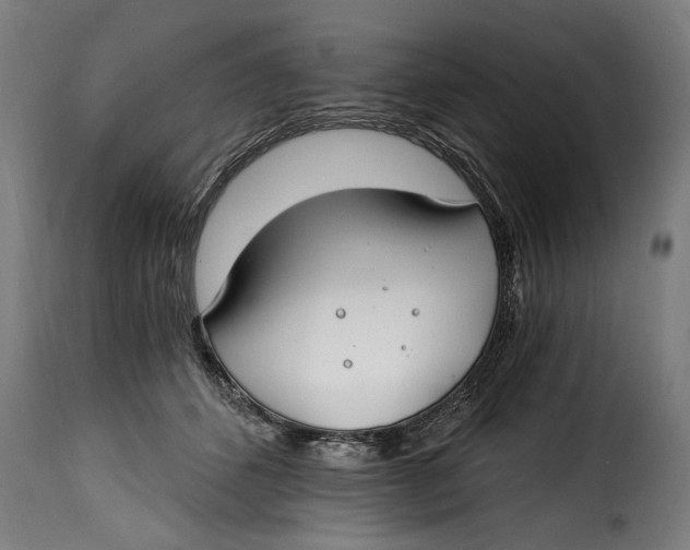 X0000115240512200911201623