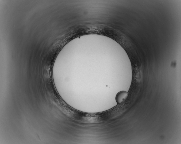 X0000115240514200911201623