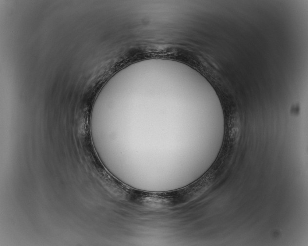 X0000115240515200911201623