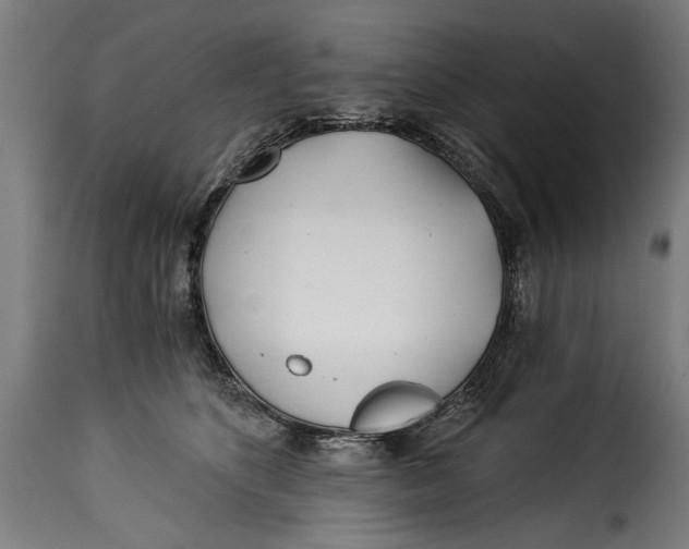 X0000115240516200911201623