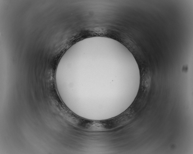 X0000115240518200911201623