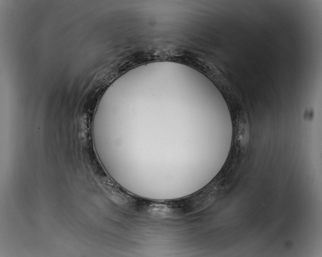 X0000115240519200911201623