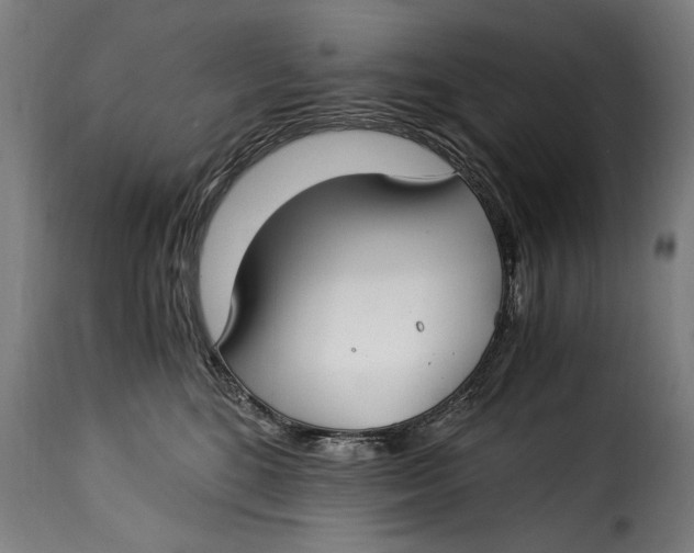 X0000115240520200911201623