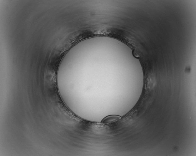 X0000115240521200911201623