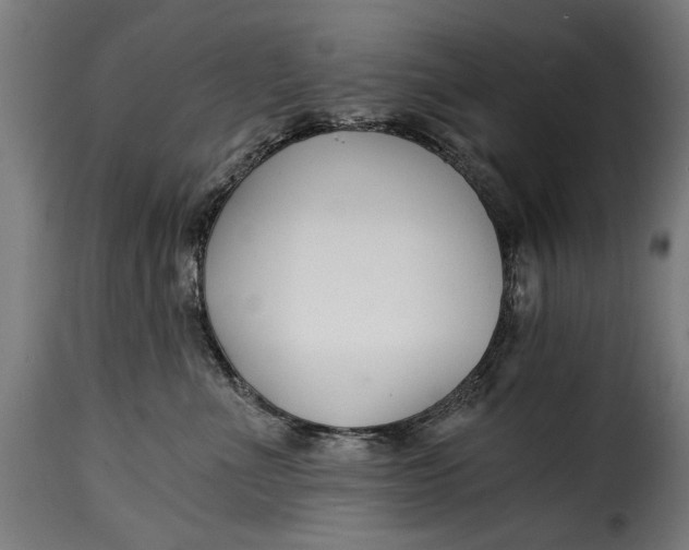 X0000115240523200911201623