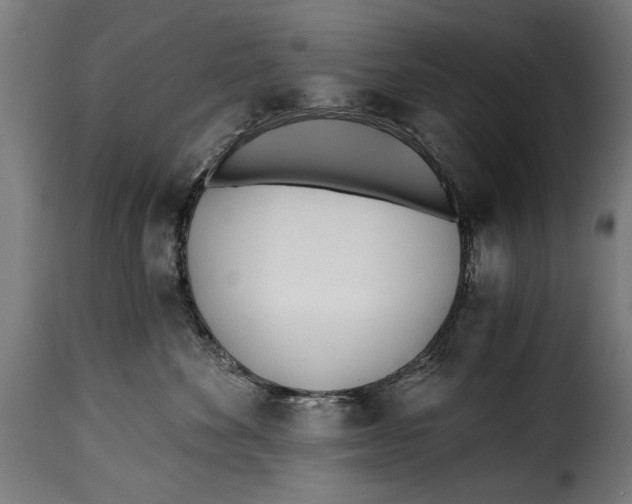 X0000115240524200911201623