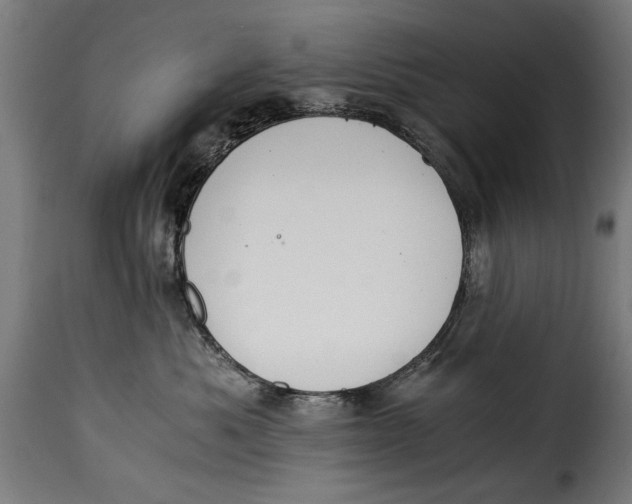X0000115240525200911201623