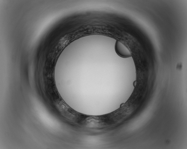 X0000115240526200911201623