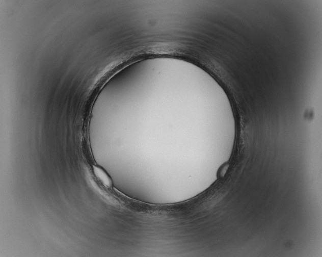 X0000115240530200911201622