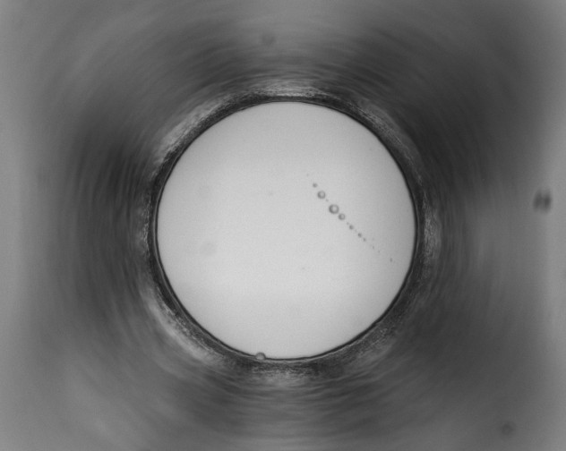 X0000115240533200911201622