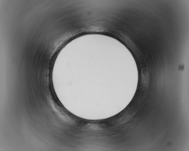 X0000115240534200911201622