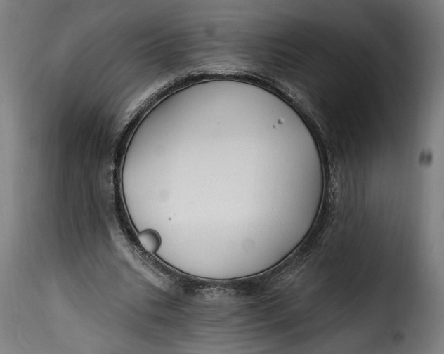 X0000115240535200911201622