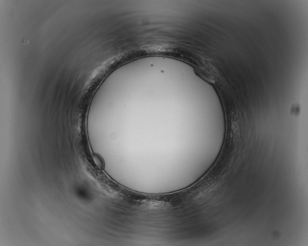 X0000115240539200911201622