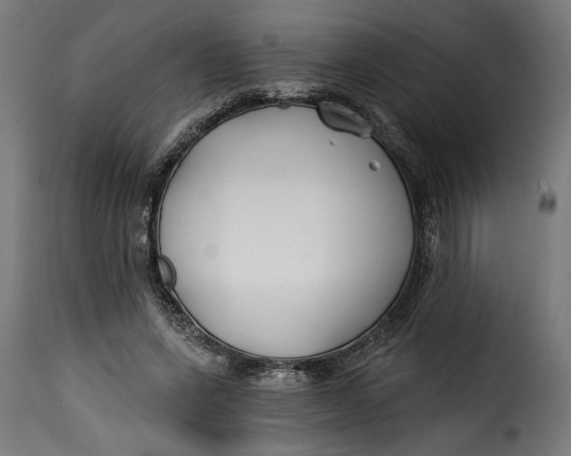 X0000115240543200911201622