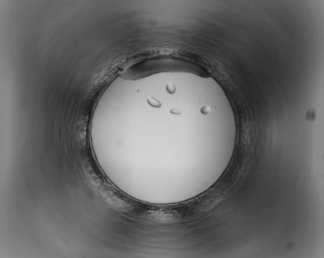 X0000115240545200911201622