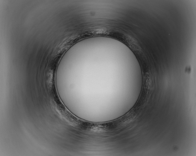X0000115240550200911201622