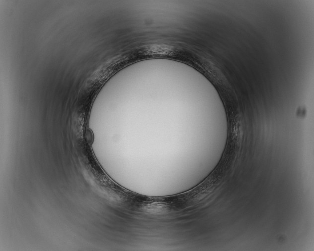 X0000115240551200911201622