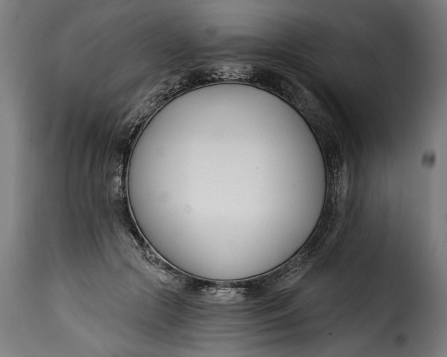 X0000115240553200911201623