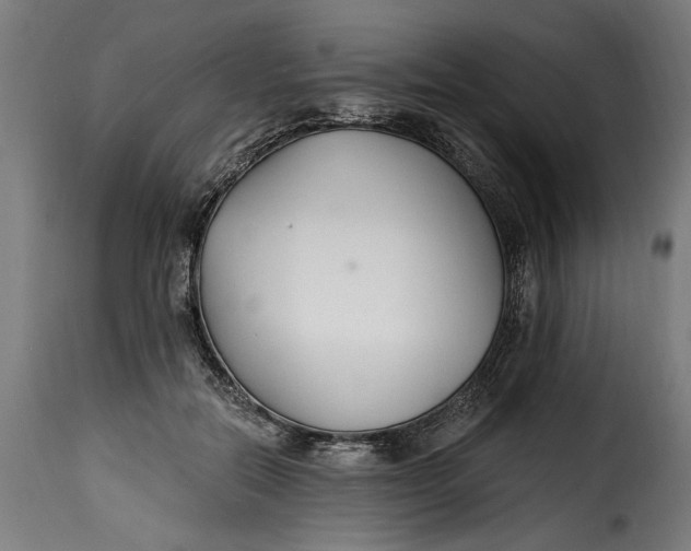 X0000115240554200911201623