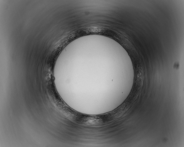 X0000115240555200911201623