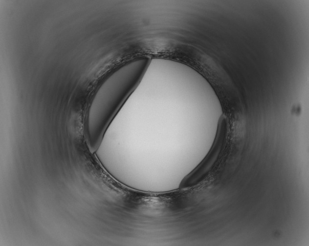 X0000115240558200911201623