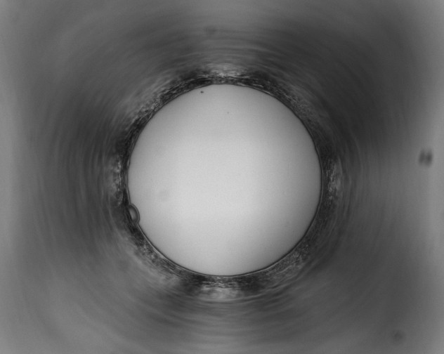 X0000115240559200911201623