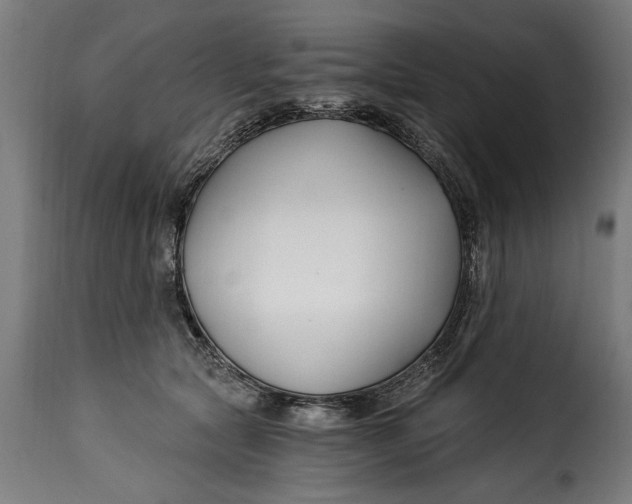 X0000115240561200911201623