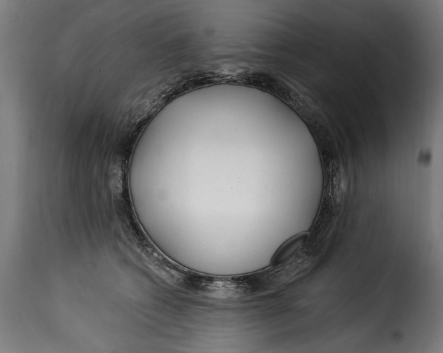 X0000115240562200911201623