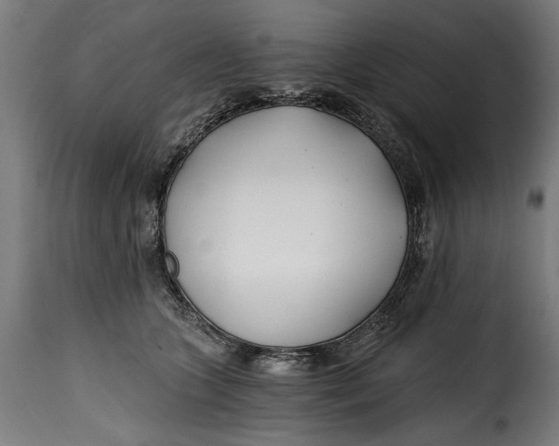 X0000115240563200911201623