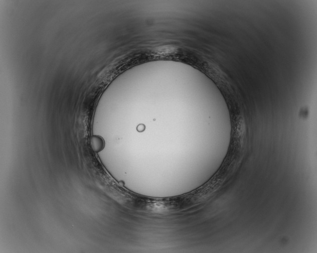 X0000115240565200911201623