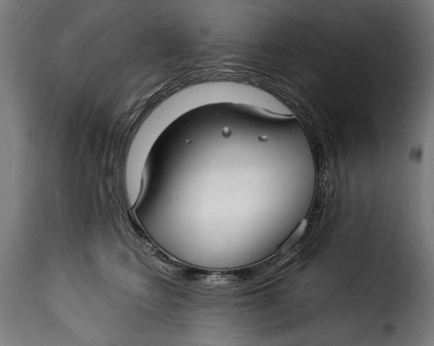 X0000115240566200911201623