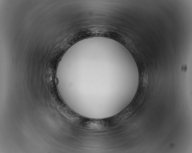 X0000115240567200911201623
