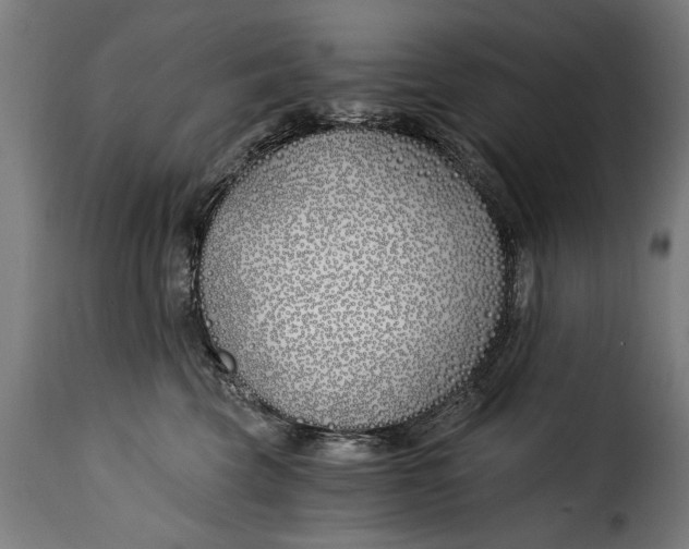 X0000115240569200911201623