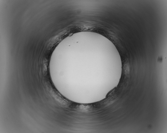 X0000115240570200911201623