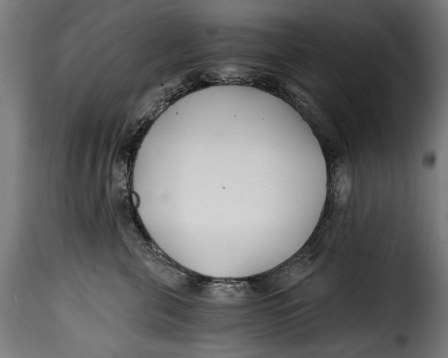 X0000115240571200911201623
