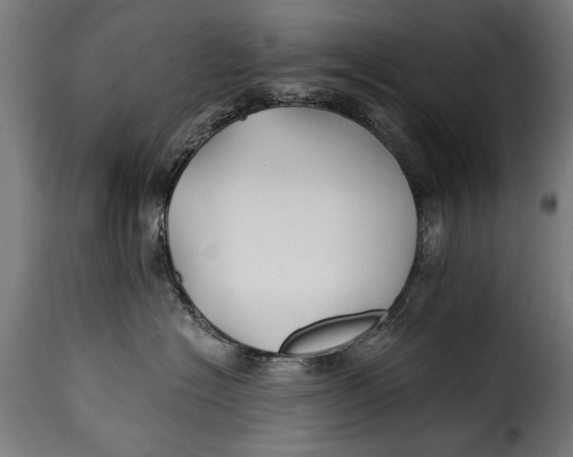 X0000115240574200911201623