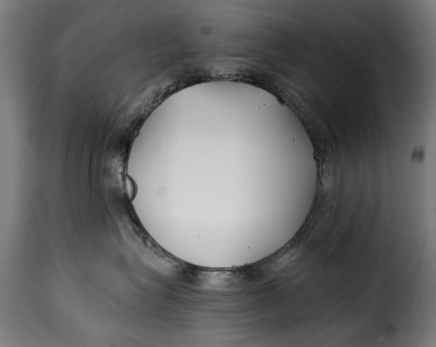 X0000115240575200911201623