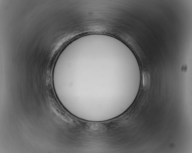 X0000115240579200911201622