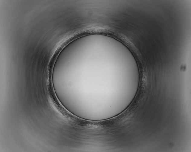 X0000115240582200911201622