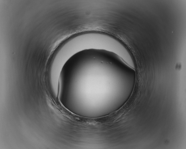 X0000115240583200911201622