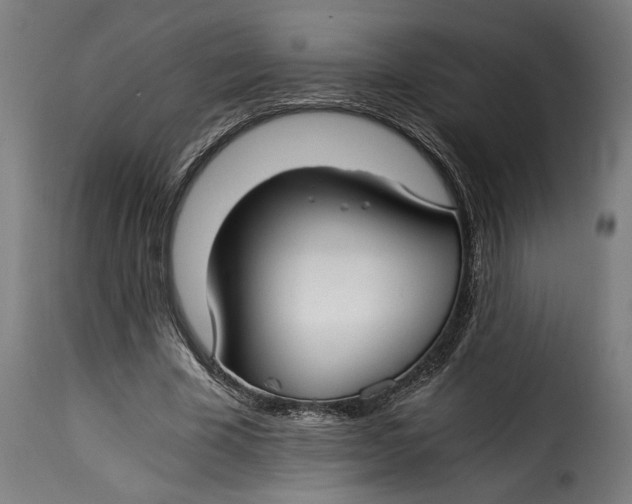 X0000115240585200911201622