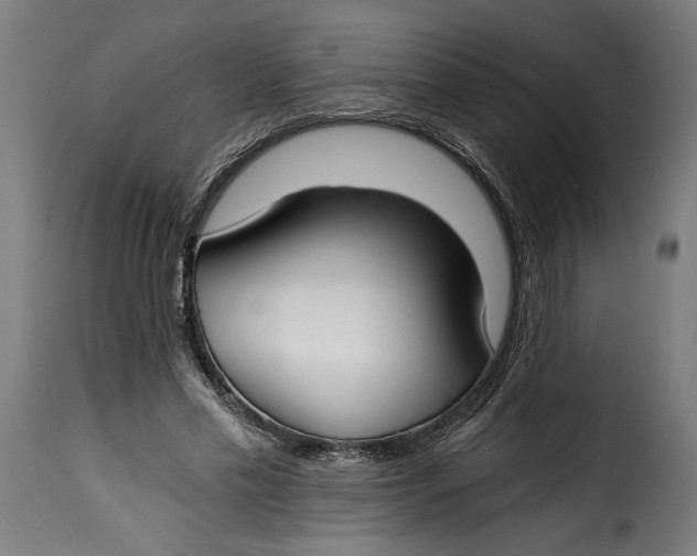 X0000115240589200911201622
