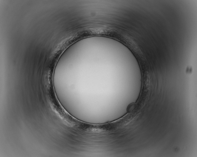 X0000115240590200911201622