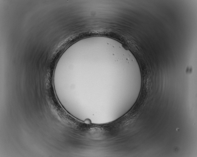 X0000115240591200911201622