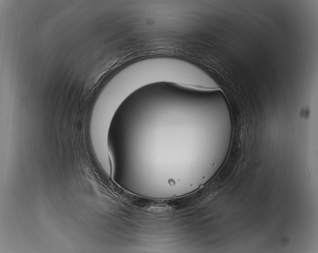 X0000115240595200911201622