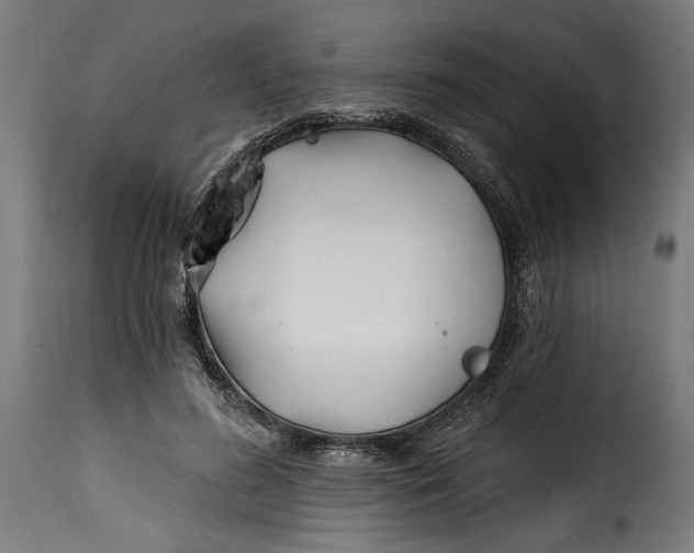 X0000115240596200911201622