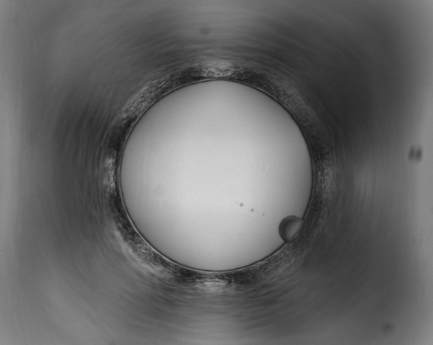 X0000115240598200911201622