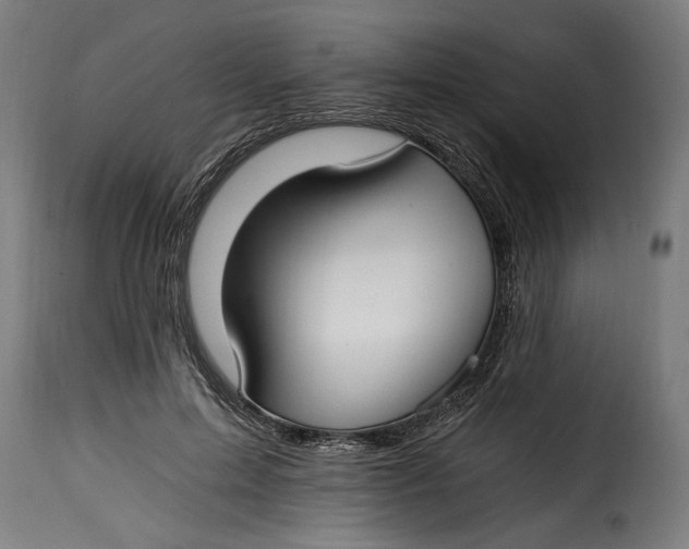 X0000115240599200911201622